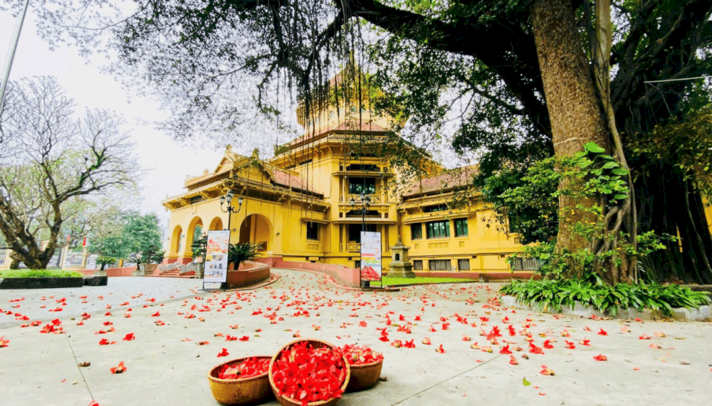 The Museum is designed in the Indochinese architectural style, blending French architecture with local cultural influences (Source: Fanpage Bảo tàng Lịch sử Quốc gia - Vietnam National Museum of History)